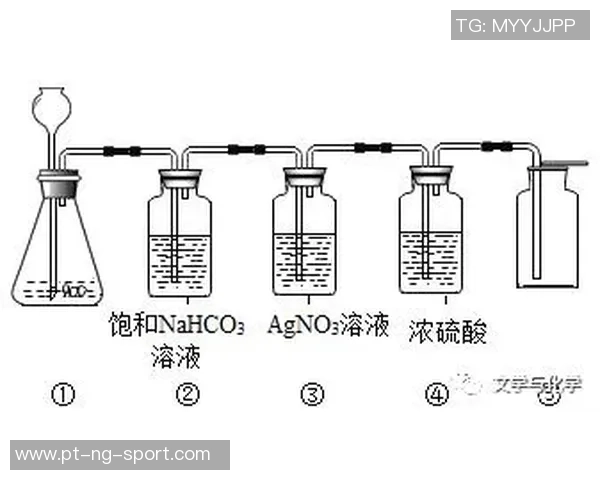 足球的科学探究与实践分析全面解读与应用指南